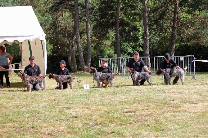 des Mordorees Automnales - L'élévage se distingue à la Nationale d'Elevage